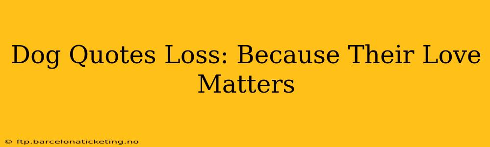 Dog Quotes Loss: Because Their Love Matters