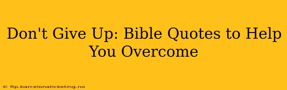 Don't Give Up: Bible Quotes to Help You Overcome