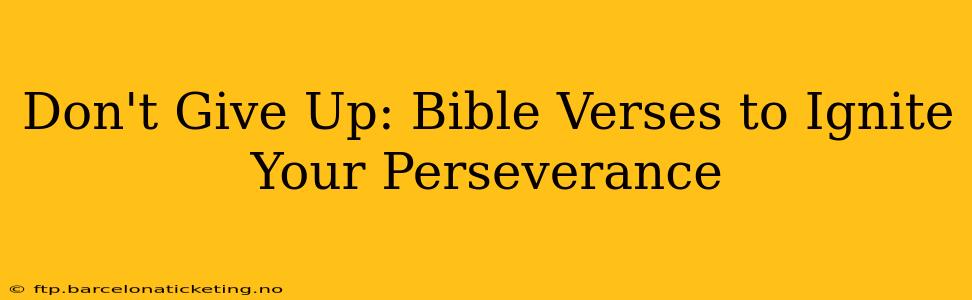 Don't Give Up: Bible Verses to Ignite Your Perseverance