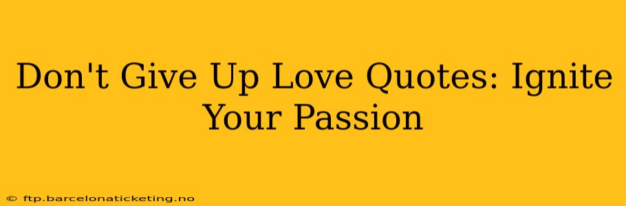 Don't Give Up Love Quotes: Ignite Your Passion
