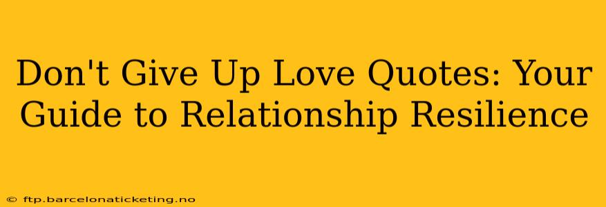 Don't Give Up Love Quotes: Your Guide to Relationship Resilience