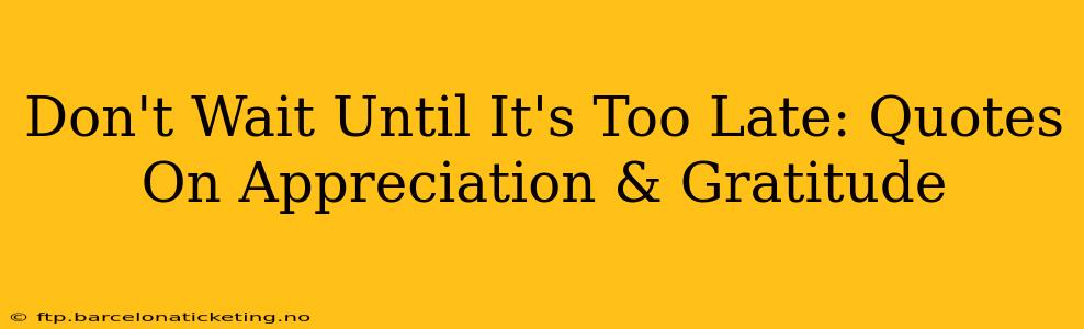 Don't Wait Until It's Too Late: Quotes On Appreciation & Gratitude
