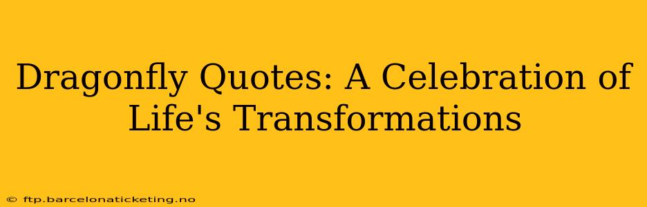Dragonfly Quotes: A Celebration of Life's Transformations