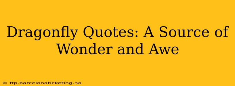 Dragonfly Quotes: A Source of Wonder and Awe