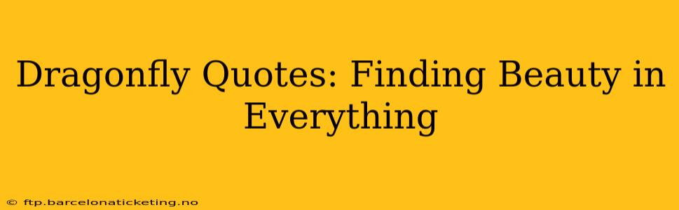 Dragonfly Quotes: Finding Beauty in Everything