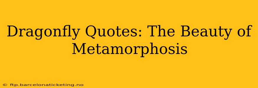 Dragonfly Quotes: The Beauty of Metamorphosis