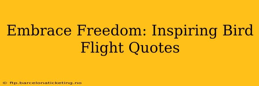 Embrace Freedom: Inspiring Bird Flight Quotes