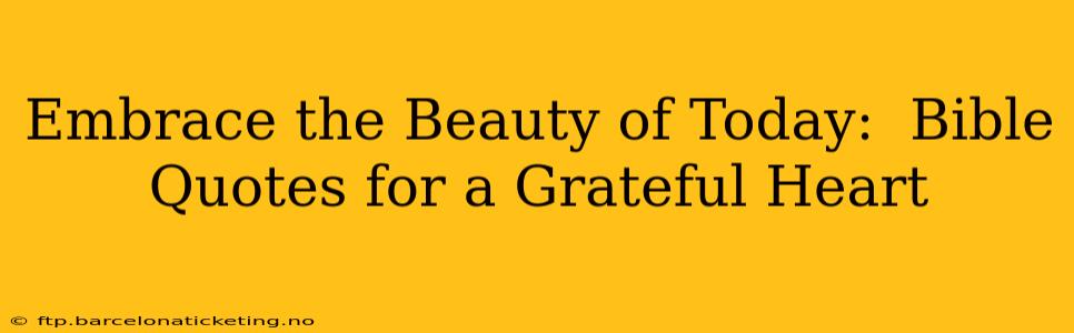 Embrace the Beauty of Today:  Bible Quotes for a Grateful Heart