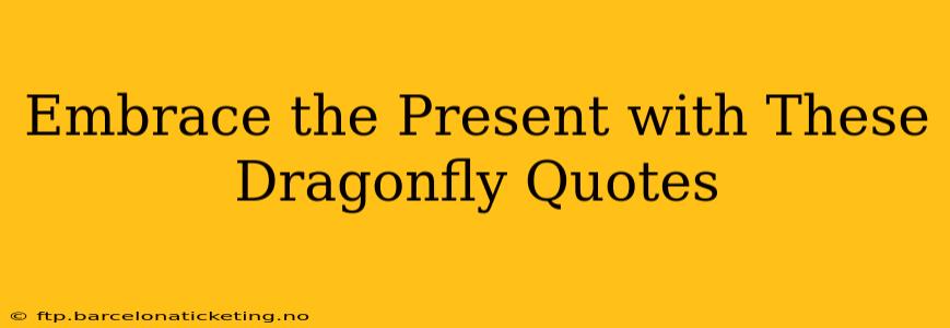 Embrace the Present with These Dragonfly Quotes