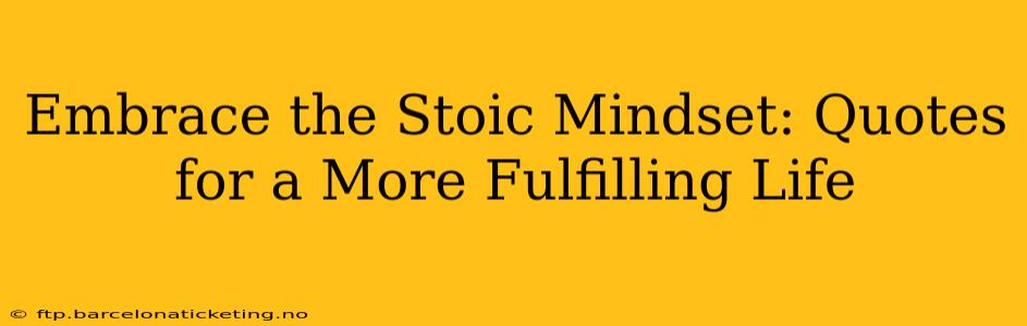 Embrace the Stoic Mindset: Quotes for a More Fulfilling Life