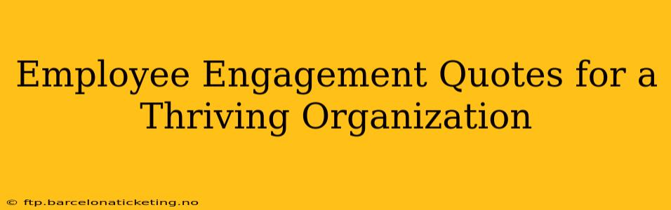 Employee Engagement Quotes for a Thriving Organization
