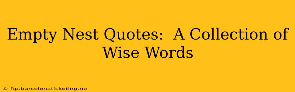 Empty Nest Quotes:  A Collection of  Wise Words