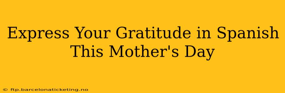 Express Your Gratitude in Spanish This Mother's Day