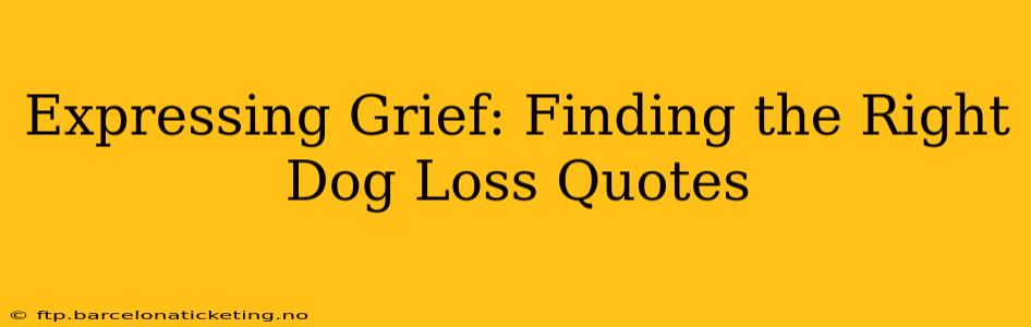 Expressing Grief: Finding the Right Dog Loss Quotes