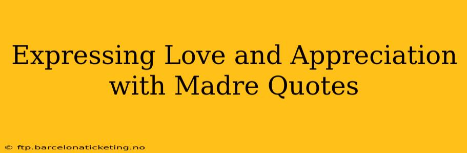 Expressing Love and Appreciation with Madre Quotes