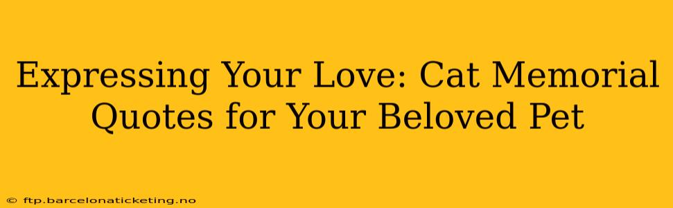 Expressing Your Love: Cat Memorial Quotes for Your Beloved Pet