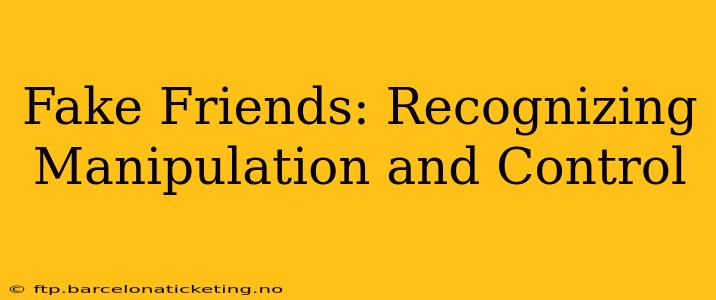 Fake Friends: Recognizing Manipulation and Control