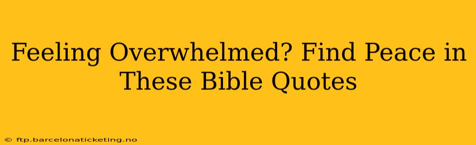 Feeling Overwhelmed? Find Peace in These Bible Quotes