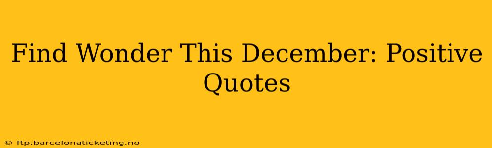 Find Wonder This December: Positive Quotes