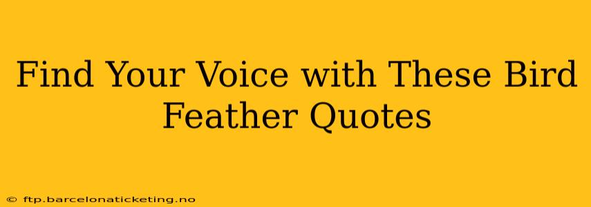 Find Your Voice with These Bird Feather Quotes