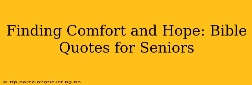 Finding Comfort and Hope: Bible Quotes for Seniors