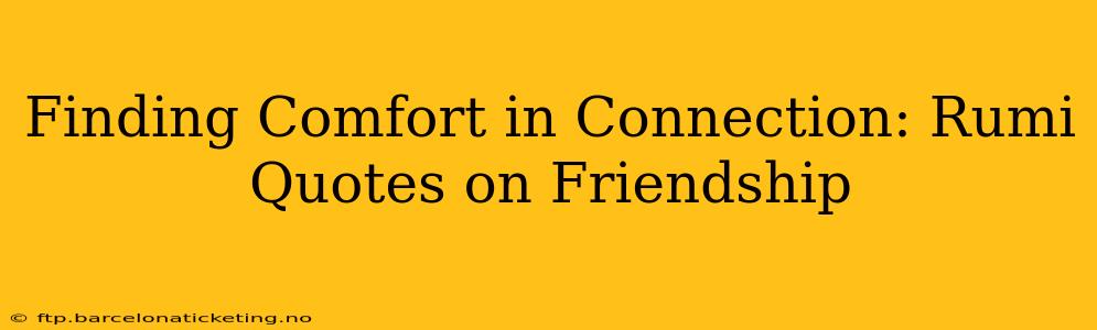 Finding Comfort in Connection: Rumi Quotes on Friendship