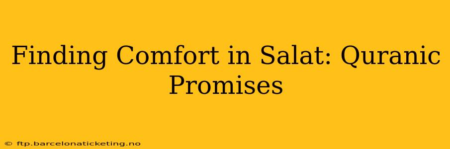 Finding Comfort in Salat: Quranic Promises