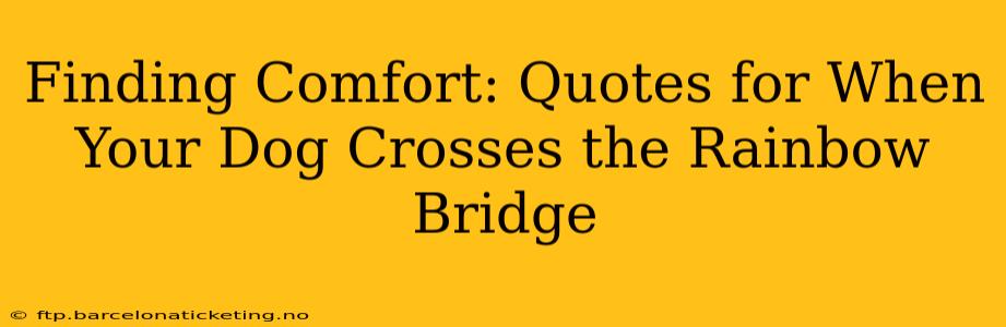 Finding Comfort: Quotes for When Your Dog Crosses the Rainbow Bridge
