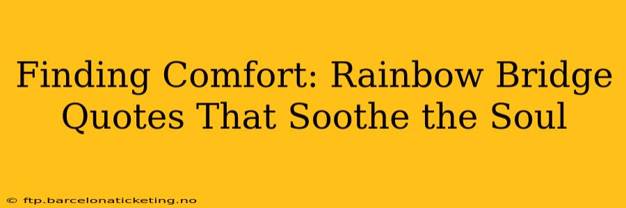 Finding Comfort: Rainbow Bridge Quotes That Soothe the Soul
