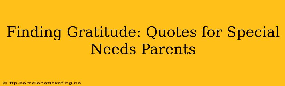 Finding Gratitude: Quotes for Special Needs Parents