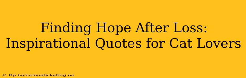 Finding Hope After Loss: Inspirational Quotes for Cat Lovers