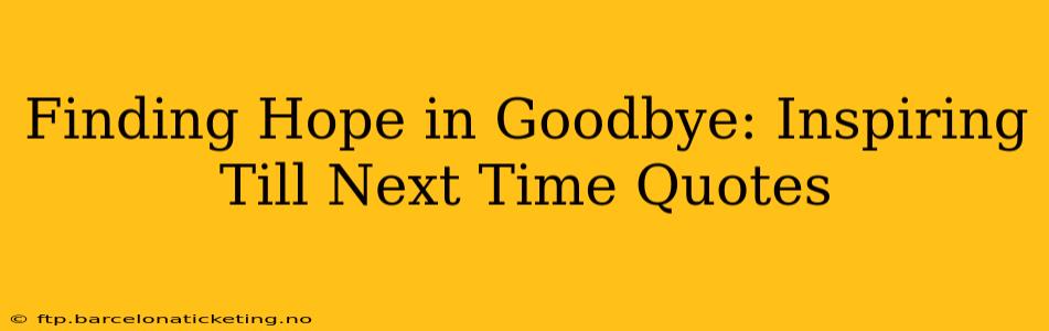 Finding Hope in Goodbye: Inspiring Till Next Time Quotes