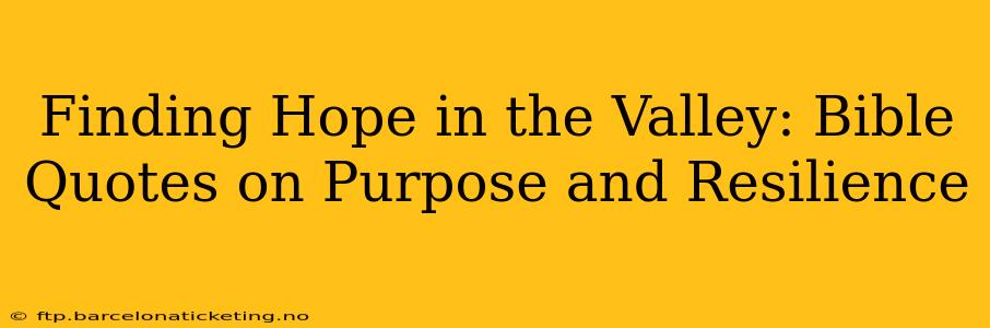 Finding Hope in the Valley: Bible Quotes on Purpose and Resilience