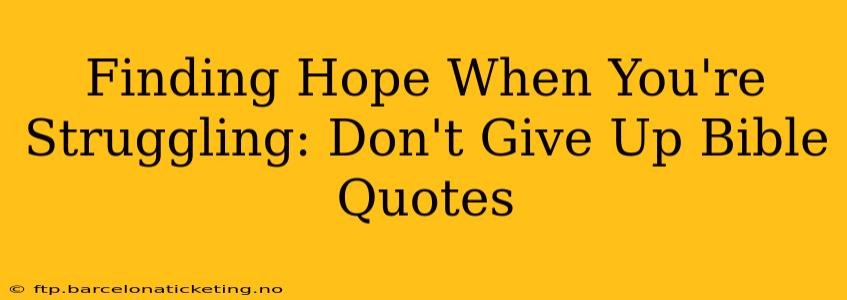 Finding Hope When You're Struggling: Don't Give Up Bible Quotes