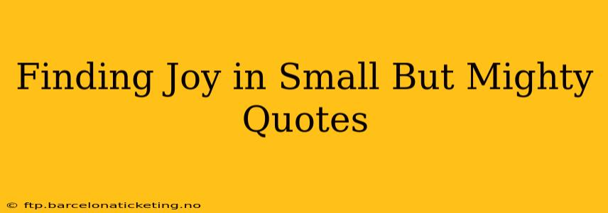 Finding Joy in Small But Mighty Quotes