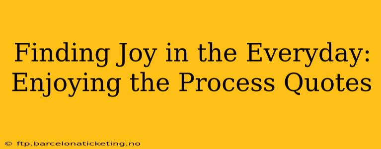 Finding Joy in the Everyday: Enjoying the Process Quotes
