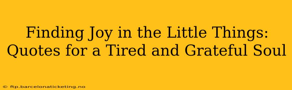 Finding Joy in the Little Things: Quotes for a Tired and Grateful Soul