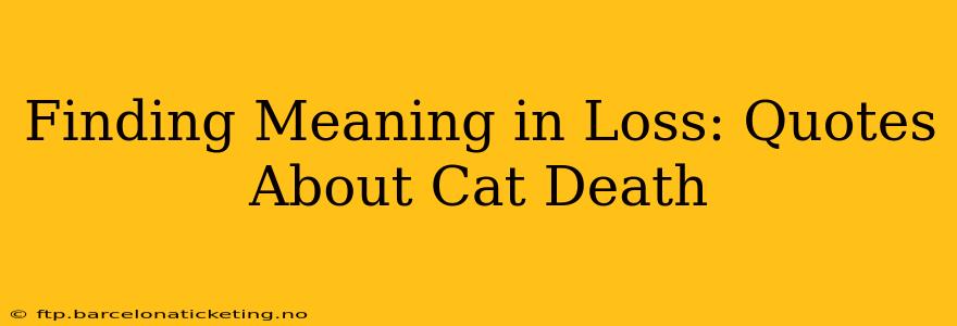 Finding Meaning in Loss: Quotes About Cat Death