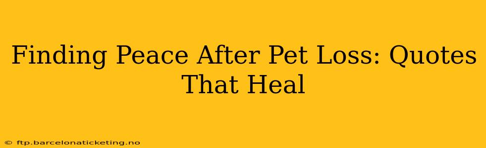 Finding Peace After Pet Loss: Quotes That Heal