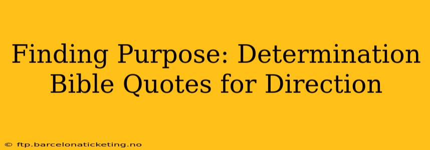 Finding Purpose: Determination Bible Quotes for Direction