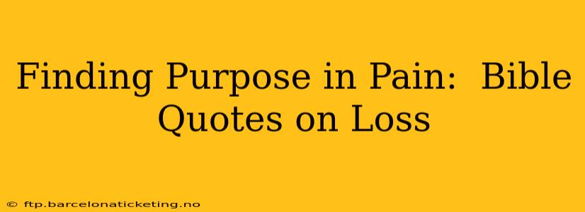 Finding Purpose in Pain:  Bible Quotes on Loss