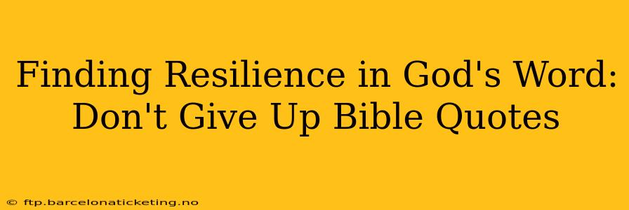 Finding Resilience in God's Word: Don't Give Up Bible Quotes