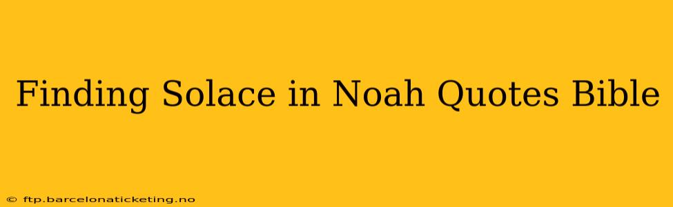 Finding Solace in Noah Quotes Bible