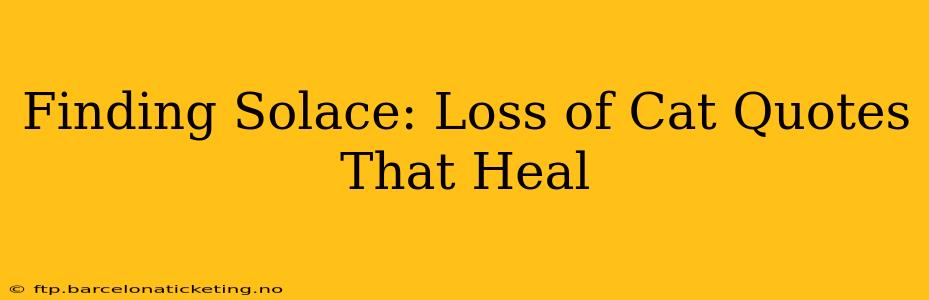 Finding Solace: Loss of Cat Quotes That Heal