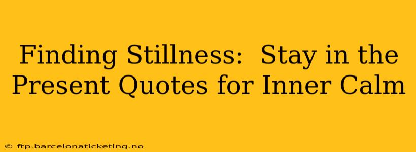 Finding Stillness:  Stay in the Present Quotes for Inner Calm