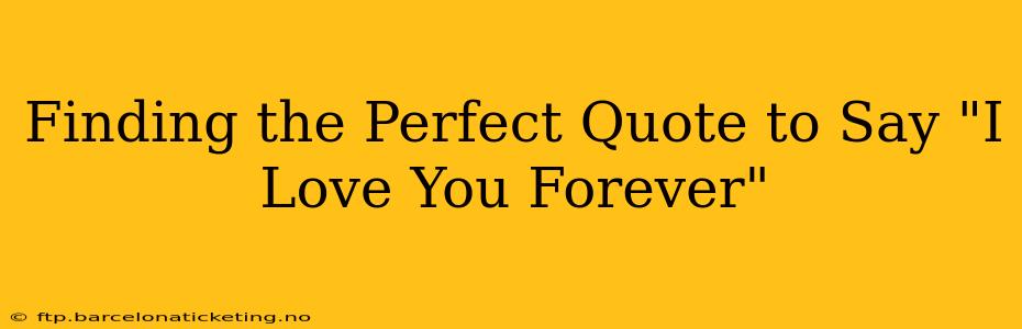 Finding the Perfect Quote to Say "I Love You Forever"