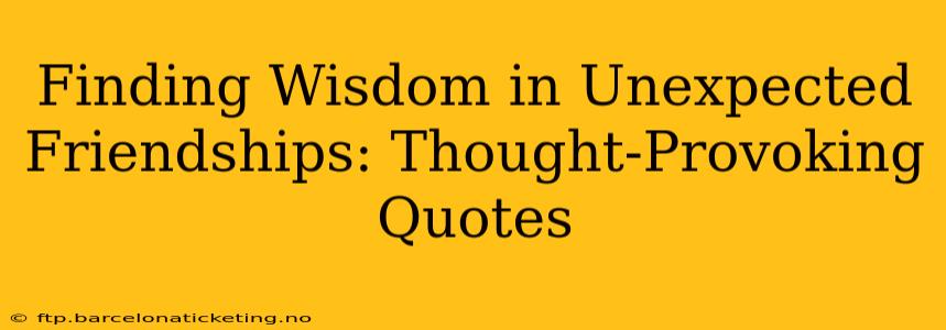 Finding Wisdom in Unexpected Friendships: Thought-Provoking Quotes