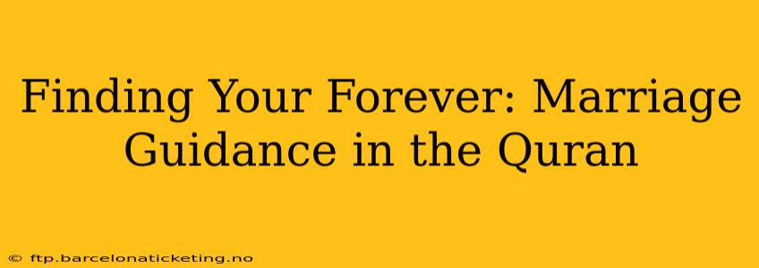 Finding Your Forever: Marriage Guidance in the Quran
