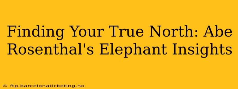 Finding Your True North: Abe Rosenthal's Elephant Insights
