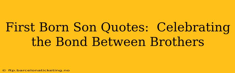 First Born Son Quotes:  Celebrating the Bond Between Brothers